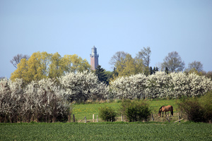 Ferienhaus Am Teich